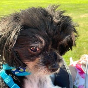 Meet your Posher, Denise